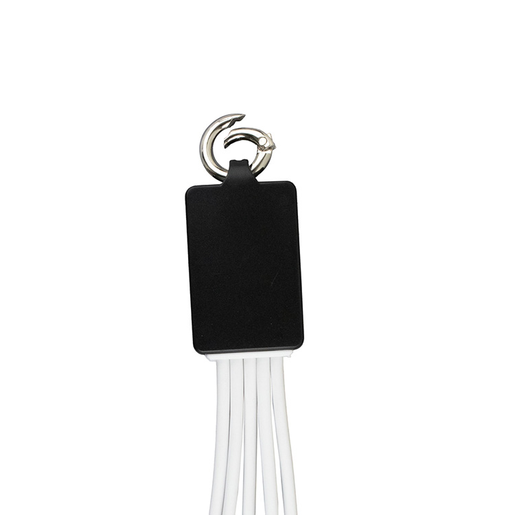 "FUSION" Charging Cable With 2 Port USB Hub 21