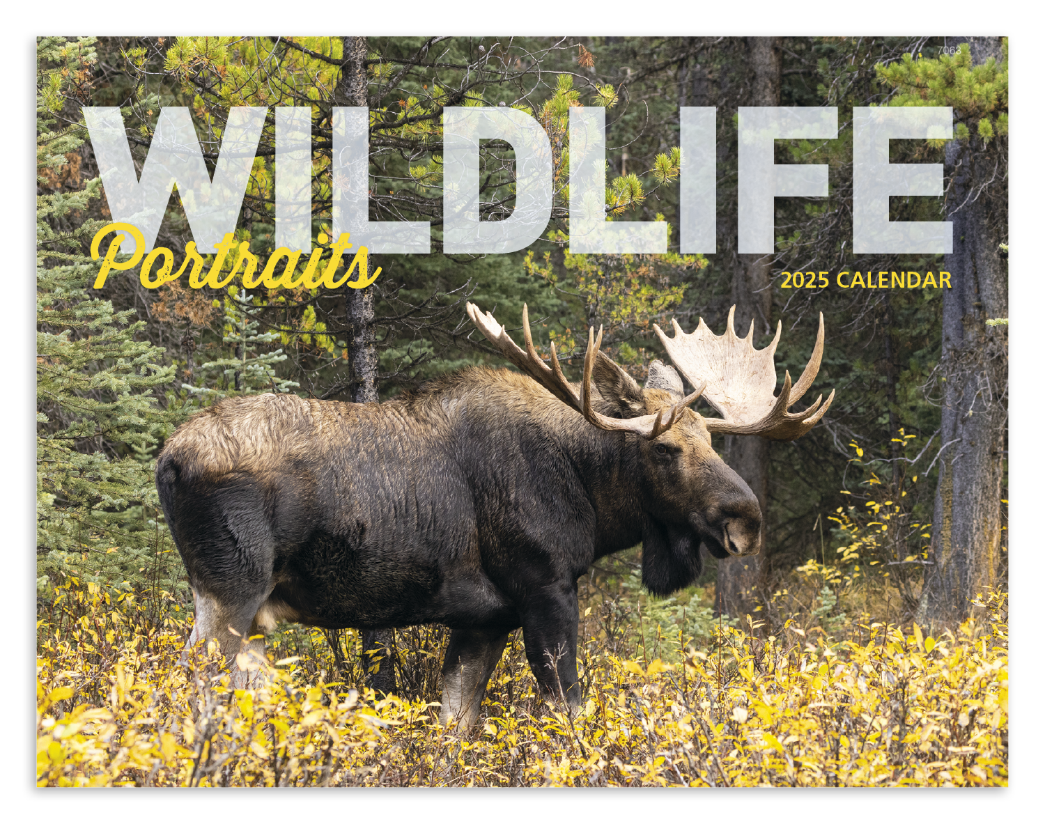 Good Value™ Wildlife Portraits - Window Calendar 9