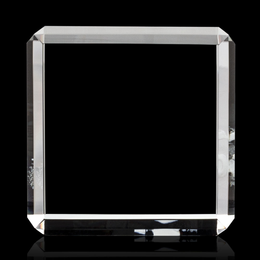Davenport 3D Award 11