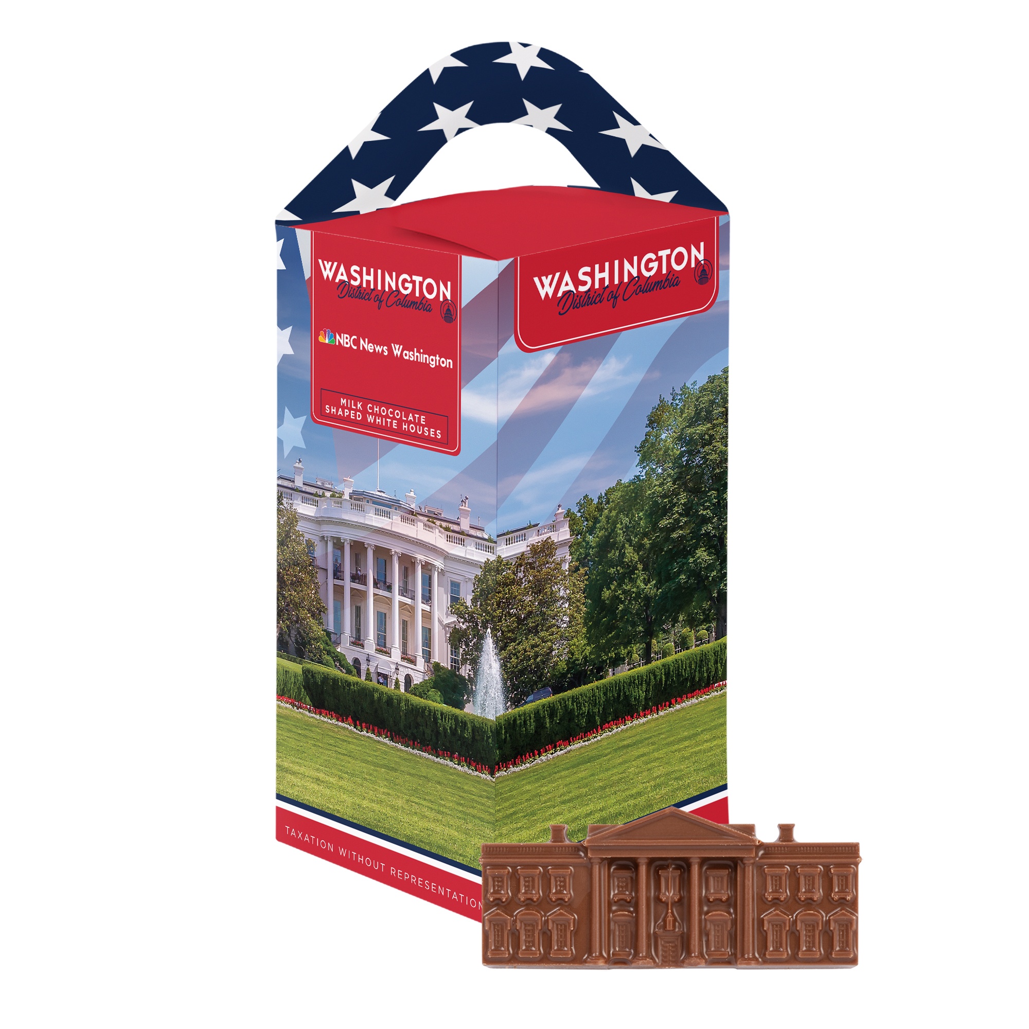 Washington D.C. Souvenir Tote Box 1