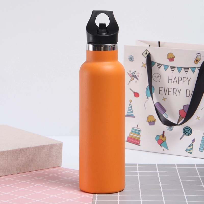 20 oz Stainless Steel Water Bottle w/Straw Lid 9