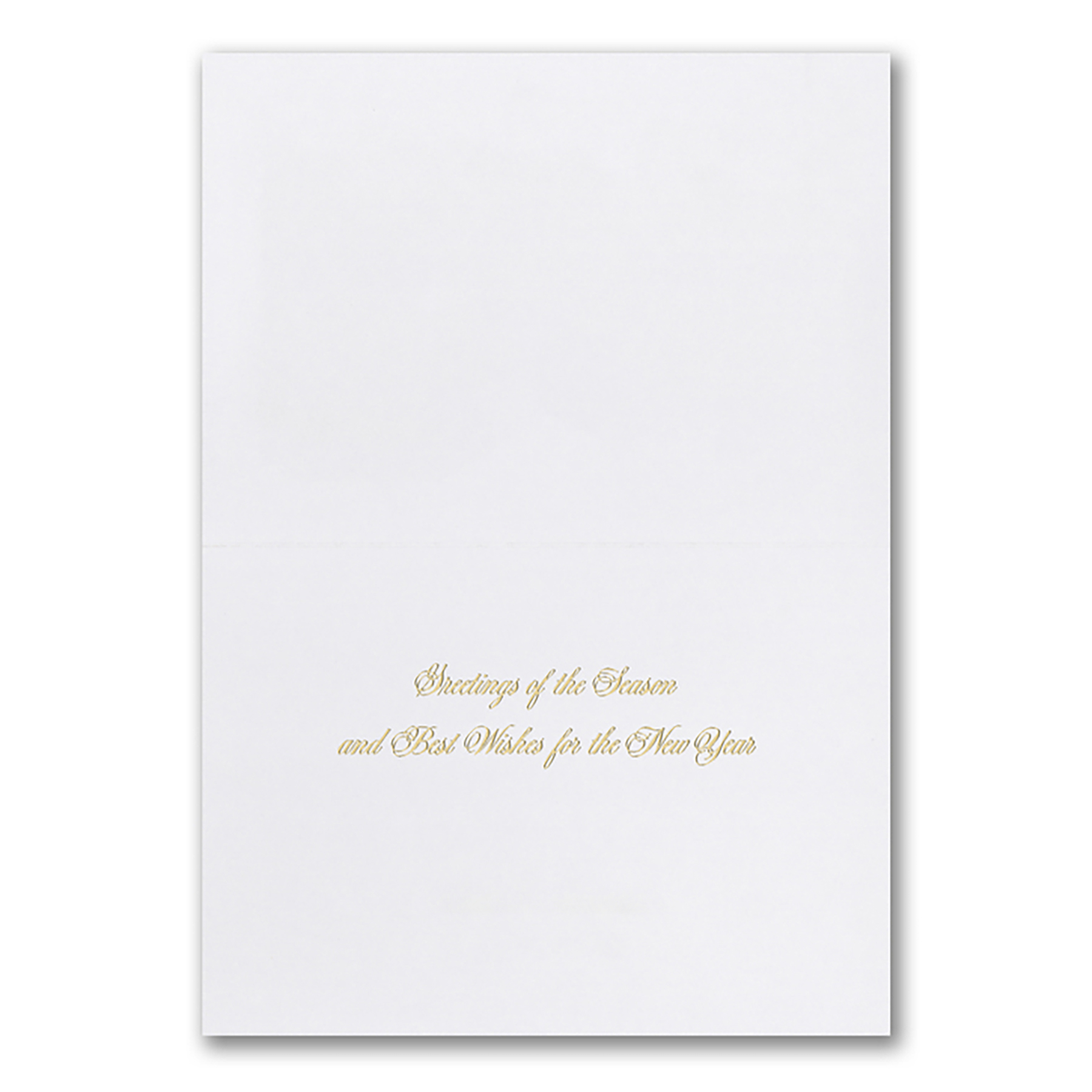 Stylish Holiday Front Imprint Card 5
