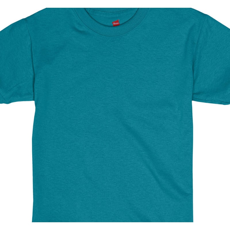 Hanes Youth 5.2 Oz., 50/50 ComfortBlend® EcoSmart® T-Shirt 309