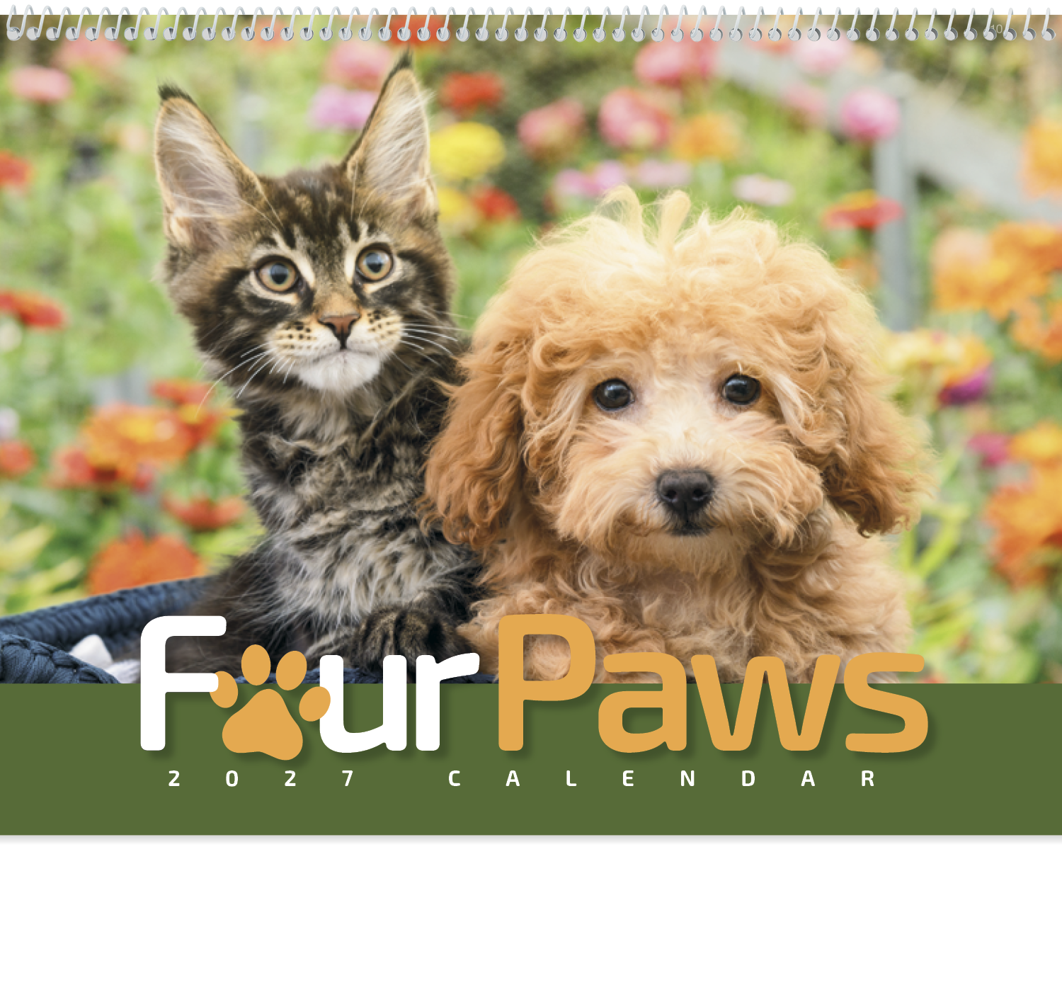 HotLine® Products Four Paws Appointment Calendar - Spiral 46