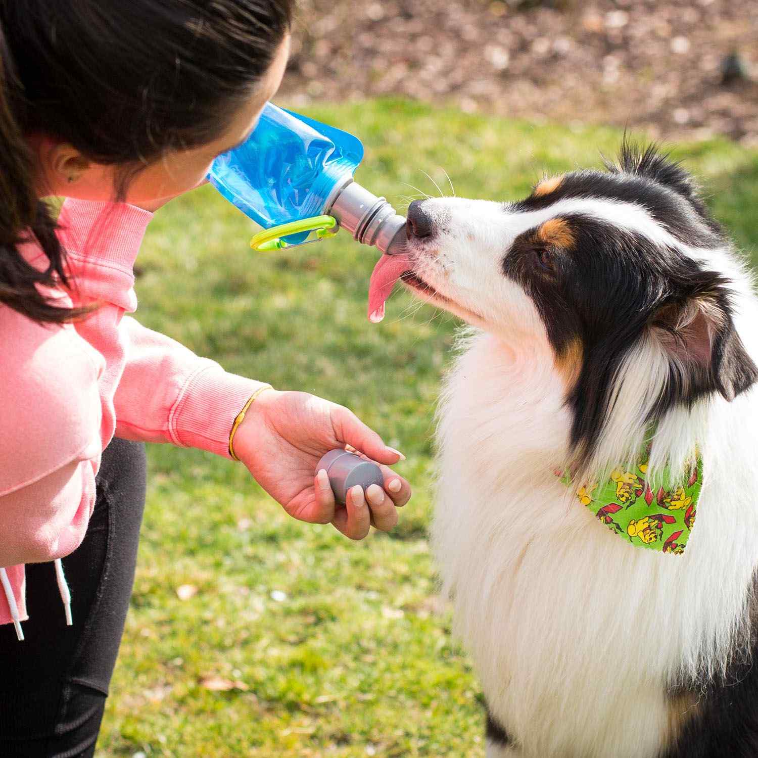 Ez Lick Portable Dog Water Bottle