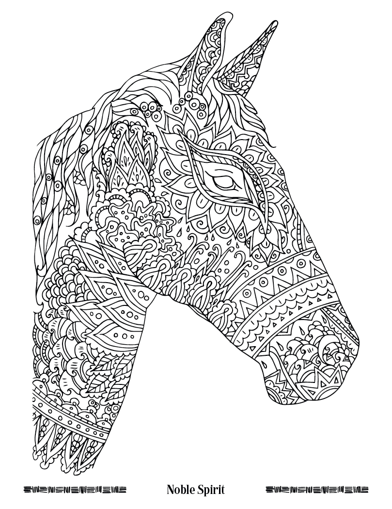 Good Value™ Wild Wonders Adult Coloring Book 6
