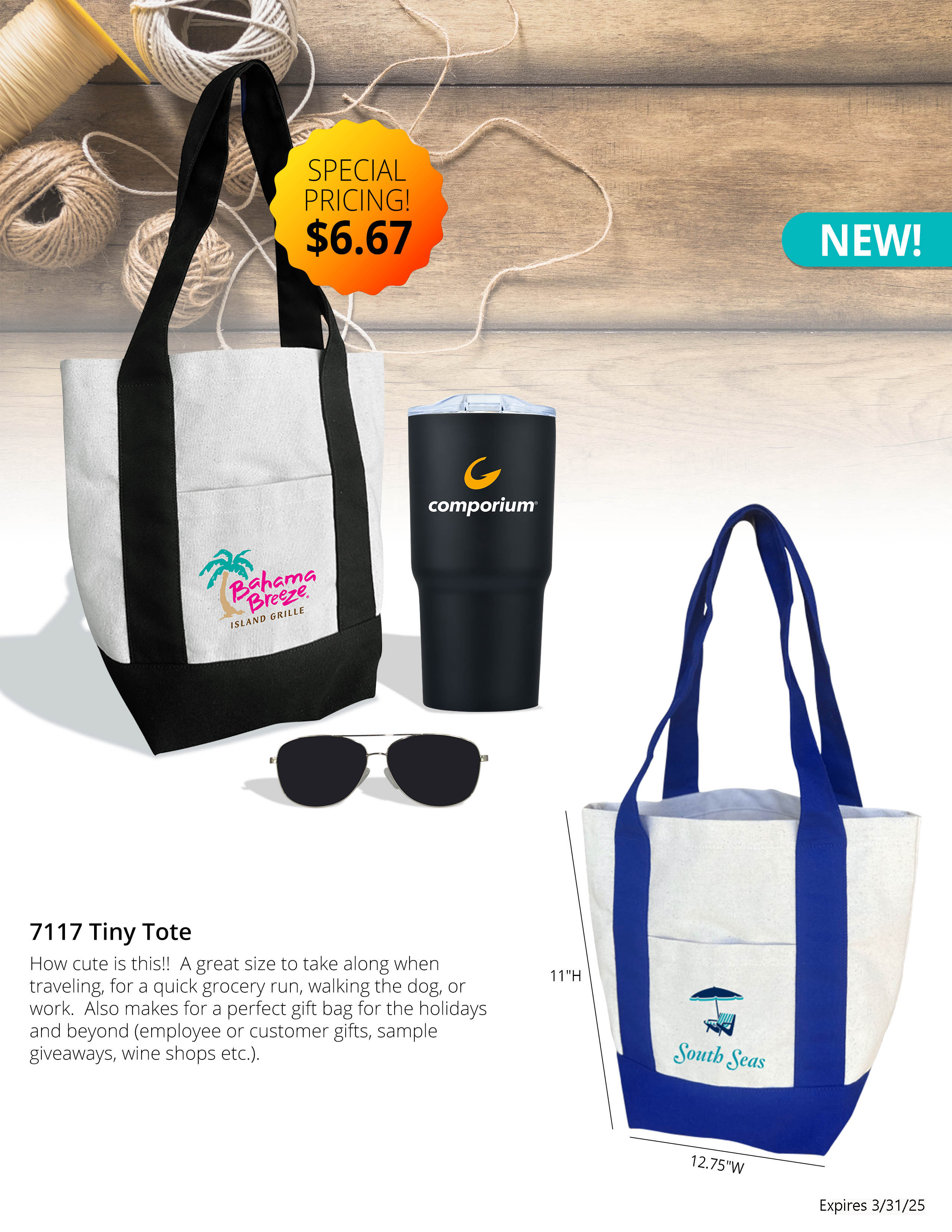 Tiny Tote 5