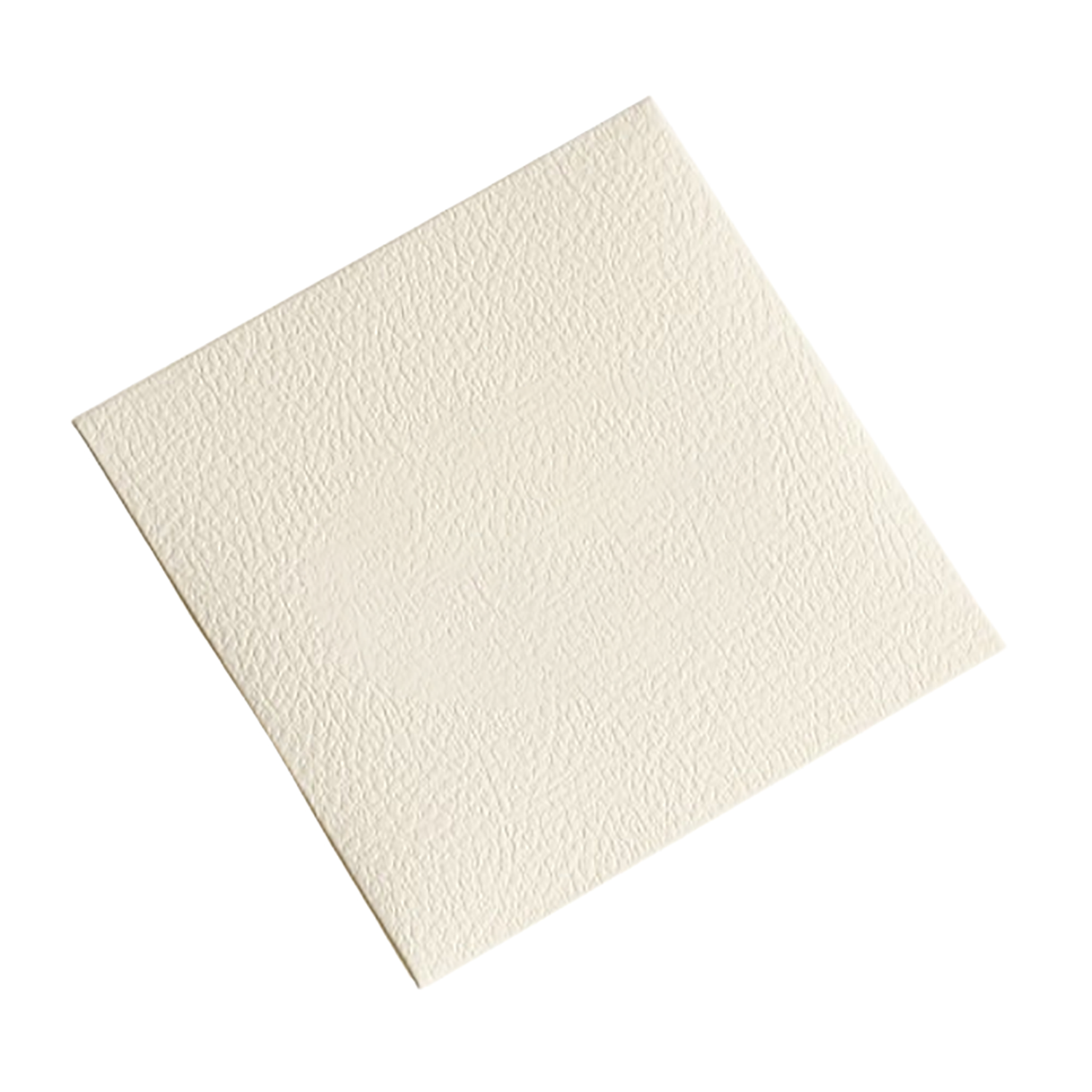 Jewelry Cleaning Microfber Cloth Polishing w/ Paper Bag 3