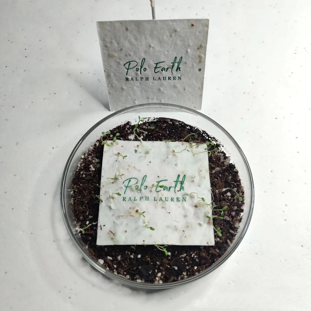 Seed Paper Name Card / Product Tag 2