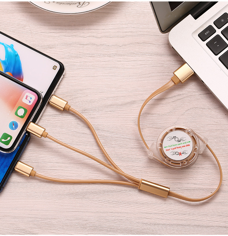 3 in 1 Multiple Charging Cord 2