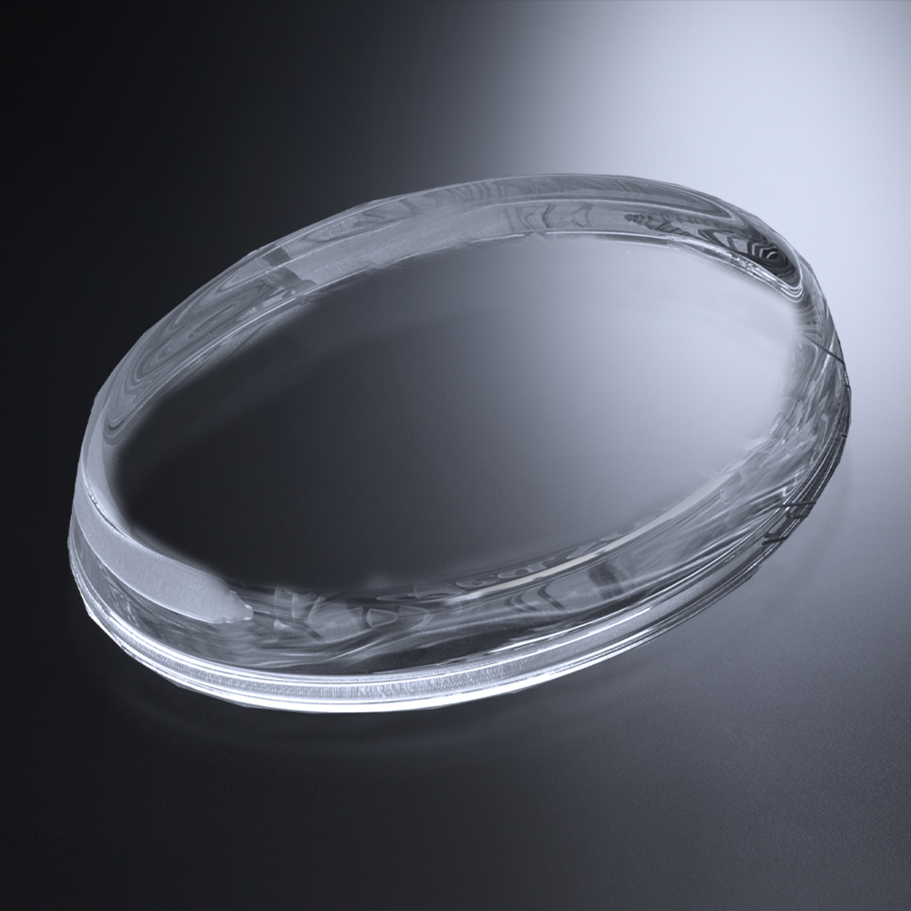 Savannah Paperweight 2