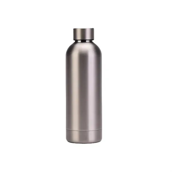 Stainless Steel Water Bottle 16 oz Capacity 9