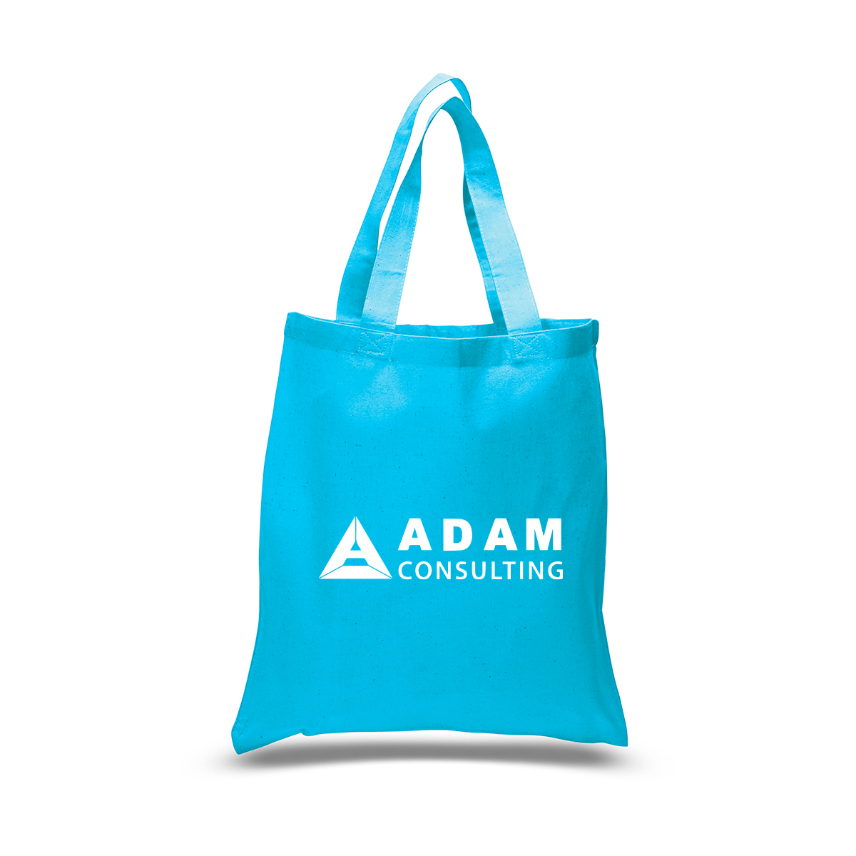 DailyMate Economical Everyday Tote Bag 33