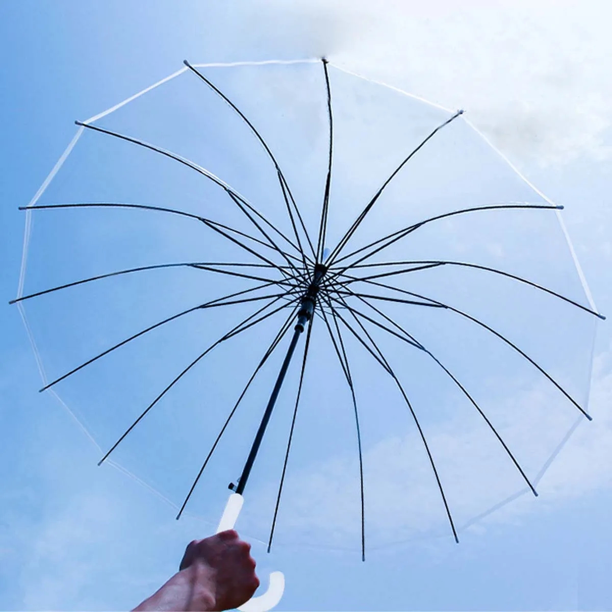 Wedding Transparent Umbrella 2