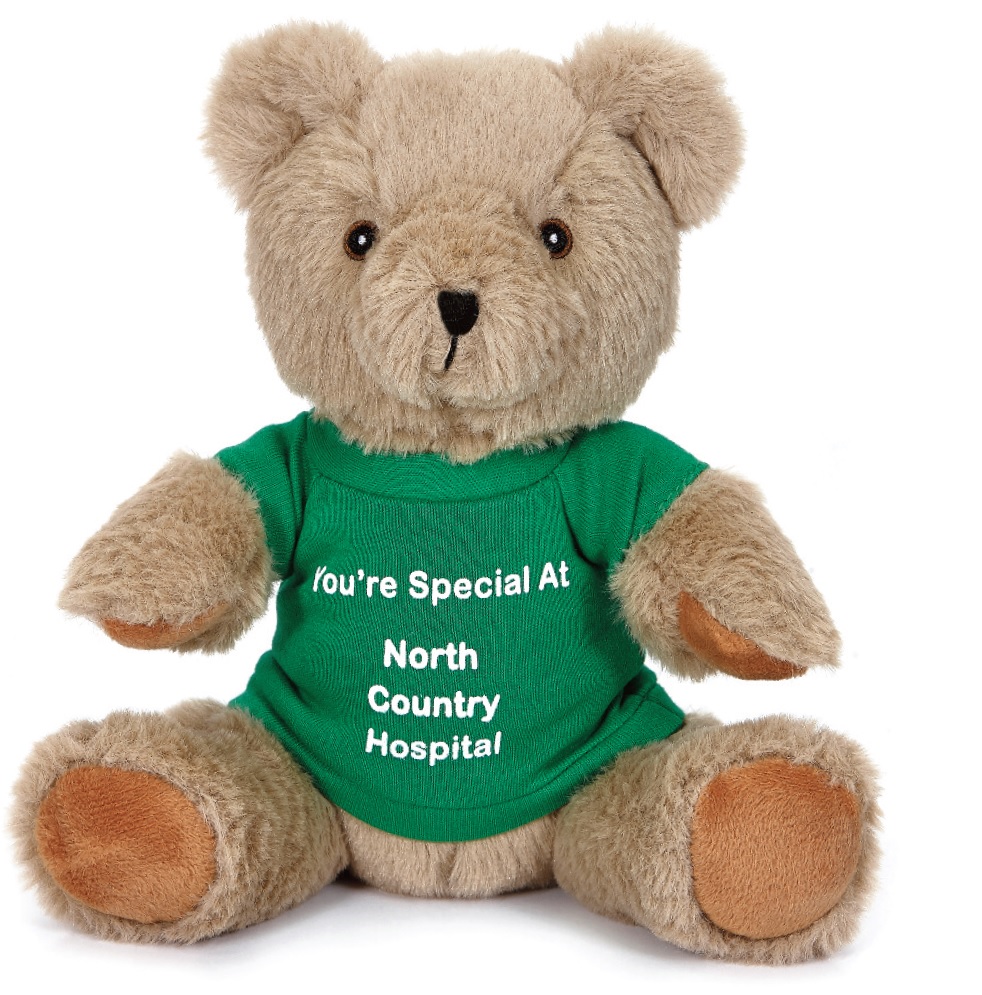 10" Jonathan Teddy Bear 1
