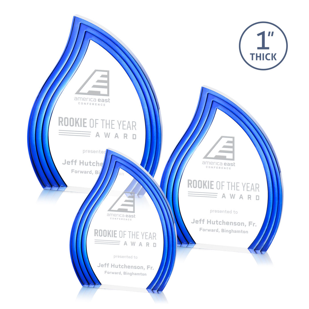 Tidworth Blaze Award - Blue