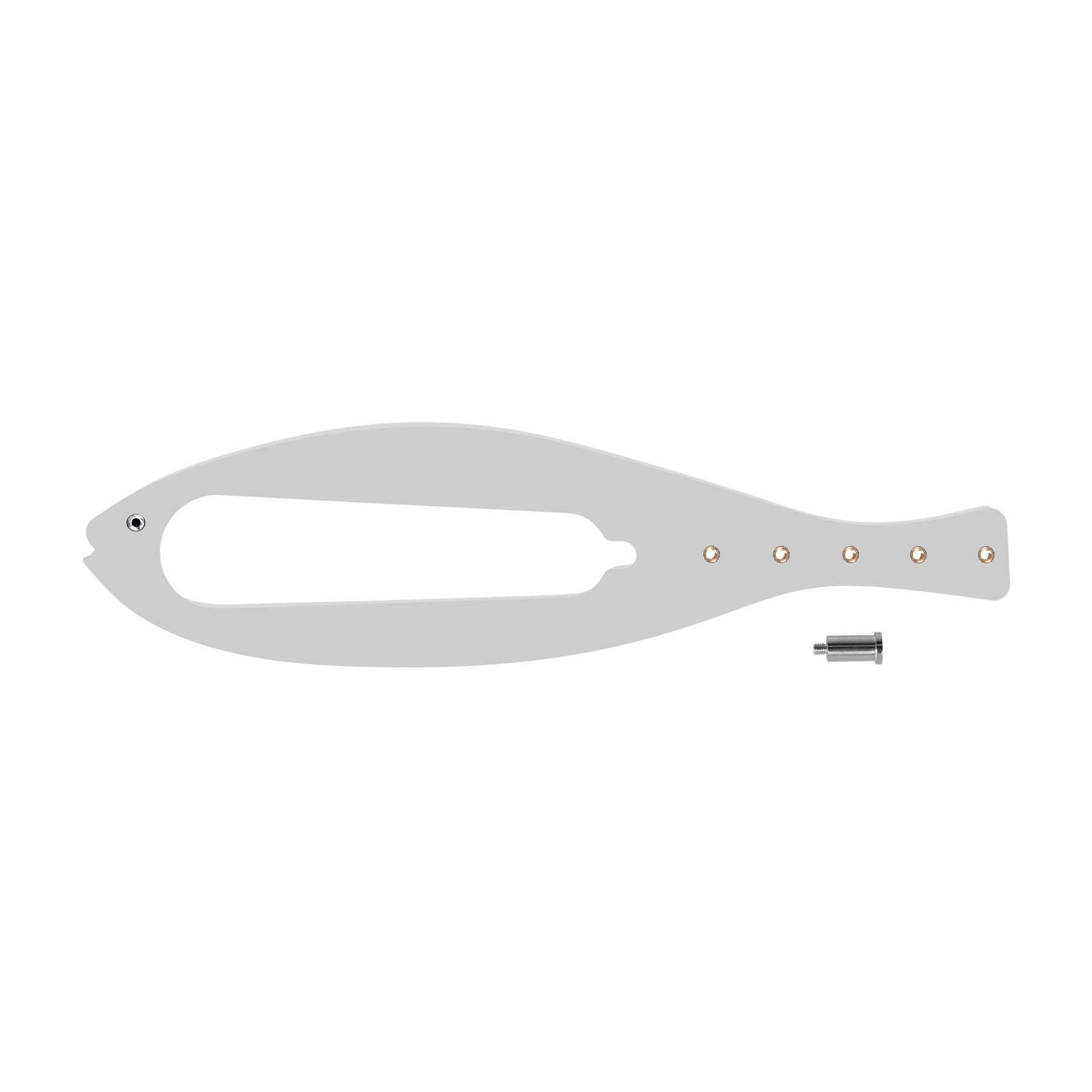 Cat Door Holder Latch 4