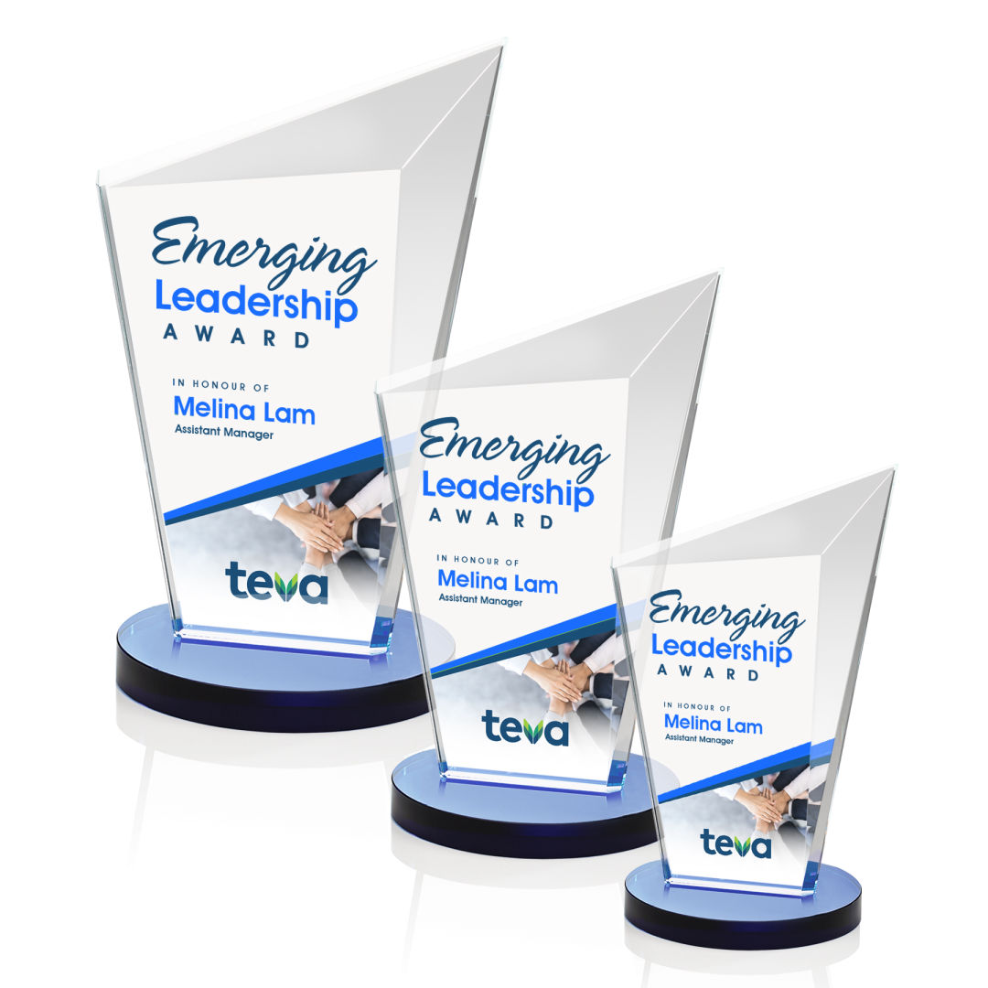 Wiltshire VividPrint™ Award - Blue 9