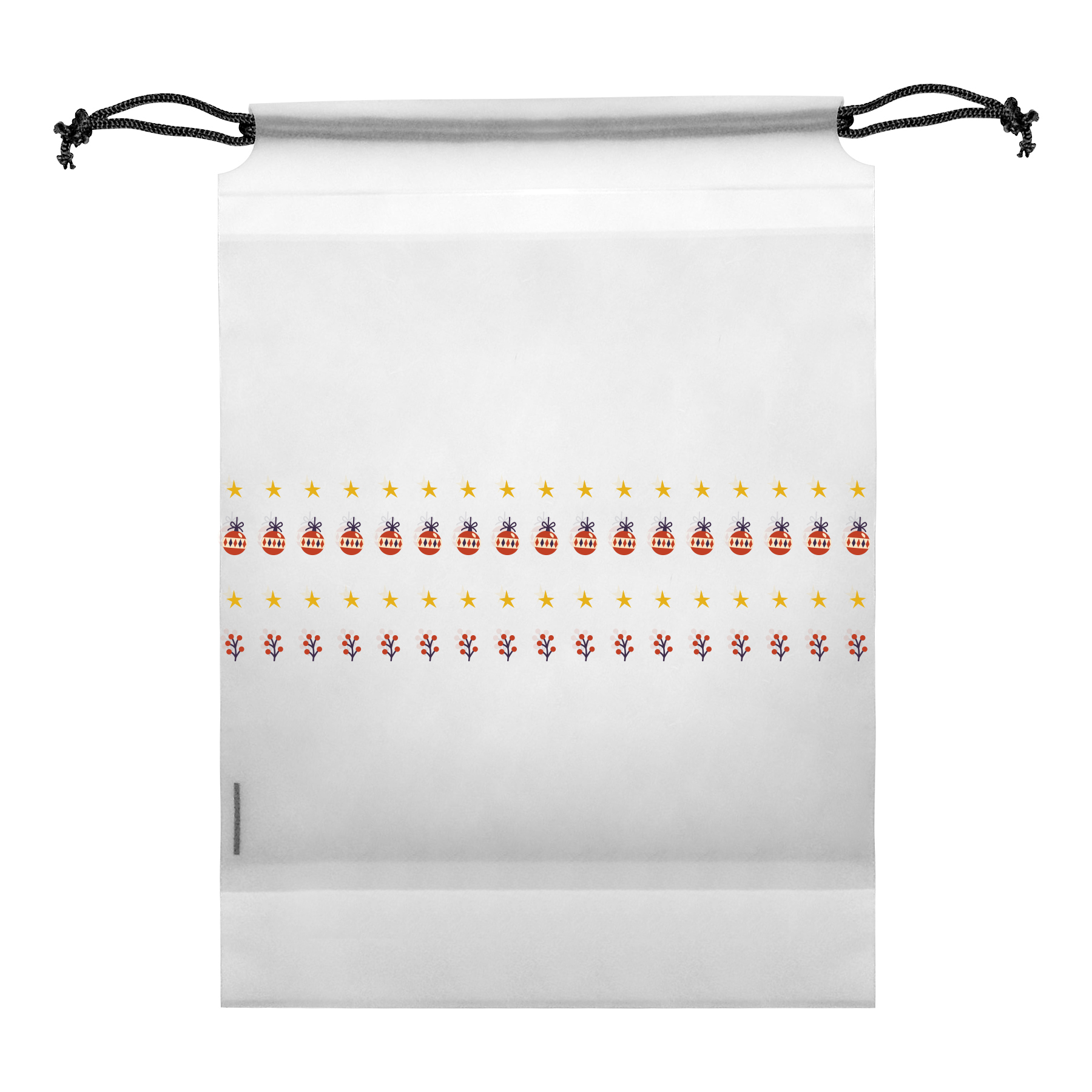 Clear PE Shoe Bags for Travel 14
