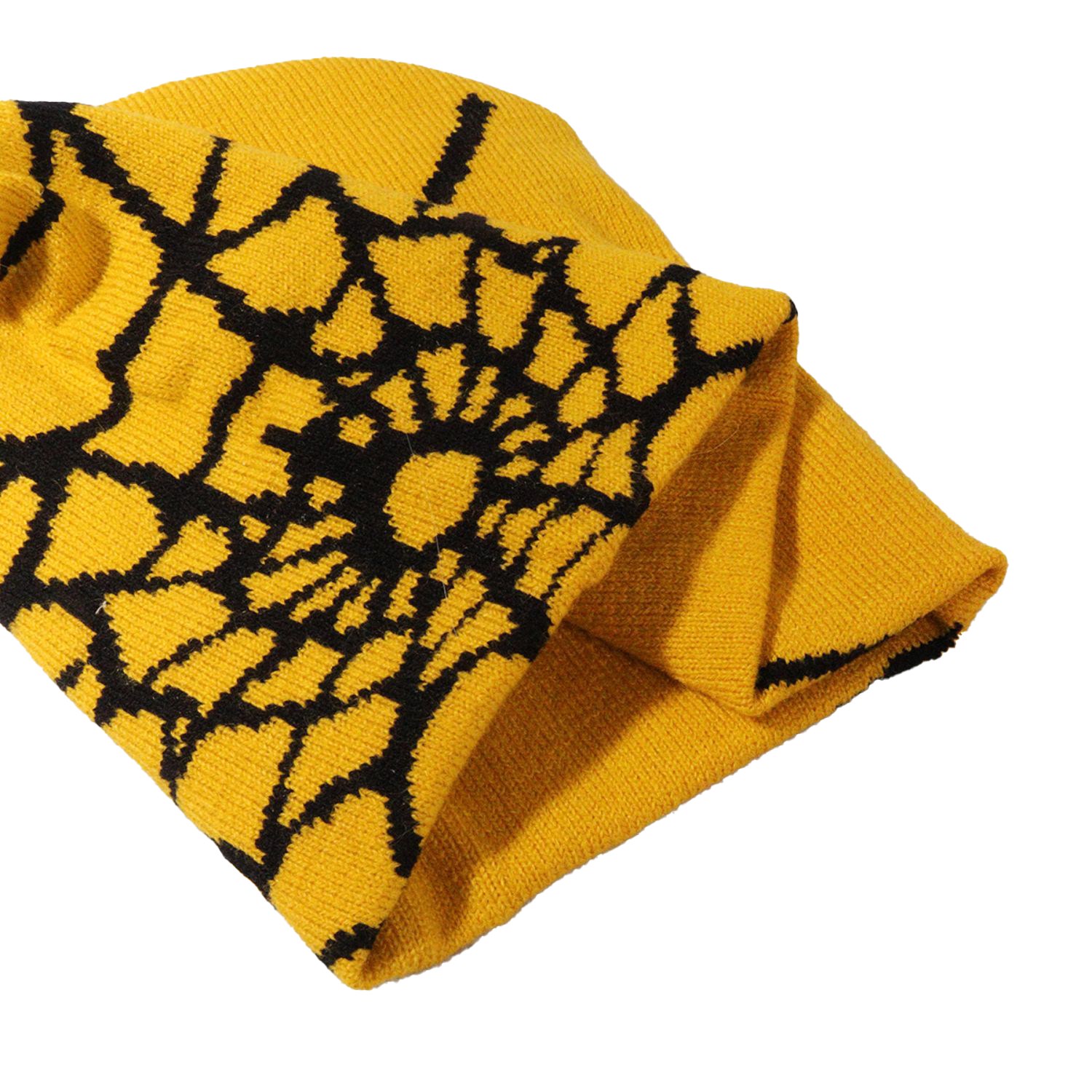 Knitted Beanie w/ Spider Web Design 5