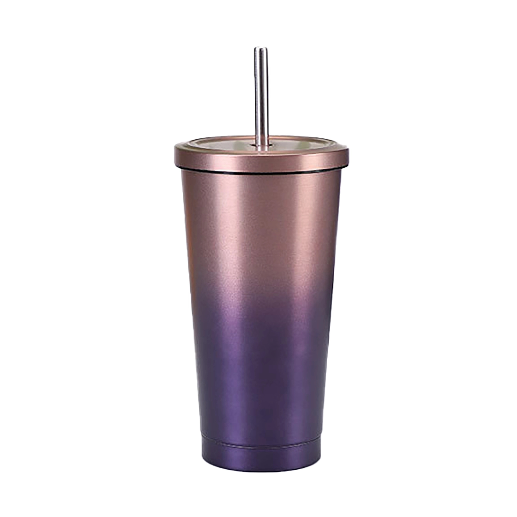 Insulated Stainless Steel Water Bottles with Straw 20 Oz 17
