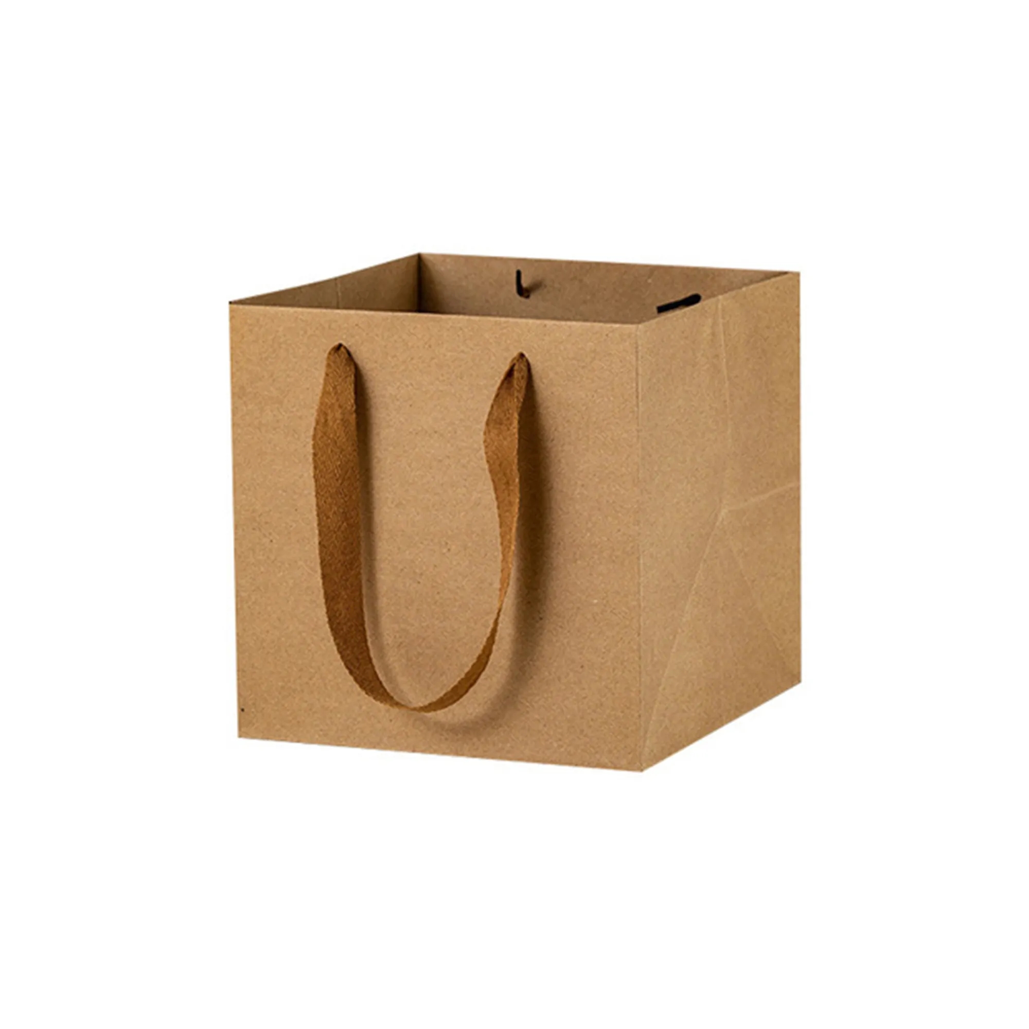 Vibrant Square Paper Gift Bags for Presents With Handles 9