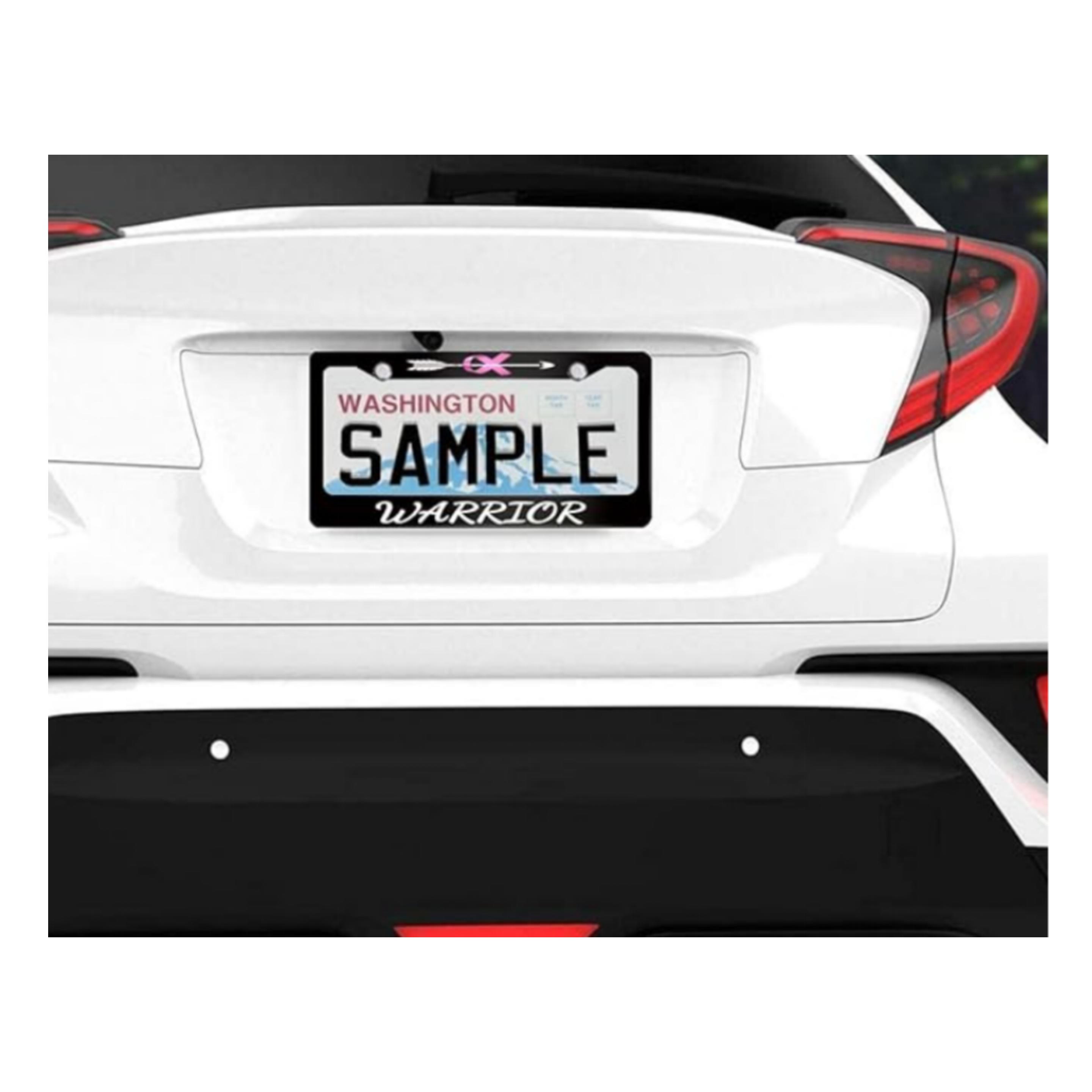 License Plate Frame 1