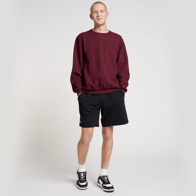 RUSSELL ATHLETIC DRI-POWER® Unisex Sweatshirt 17