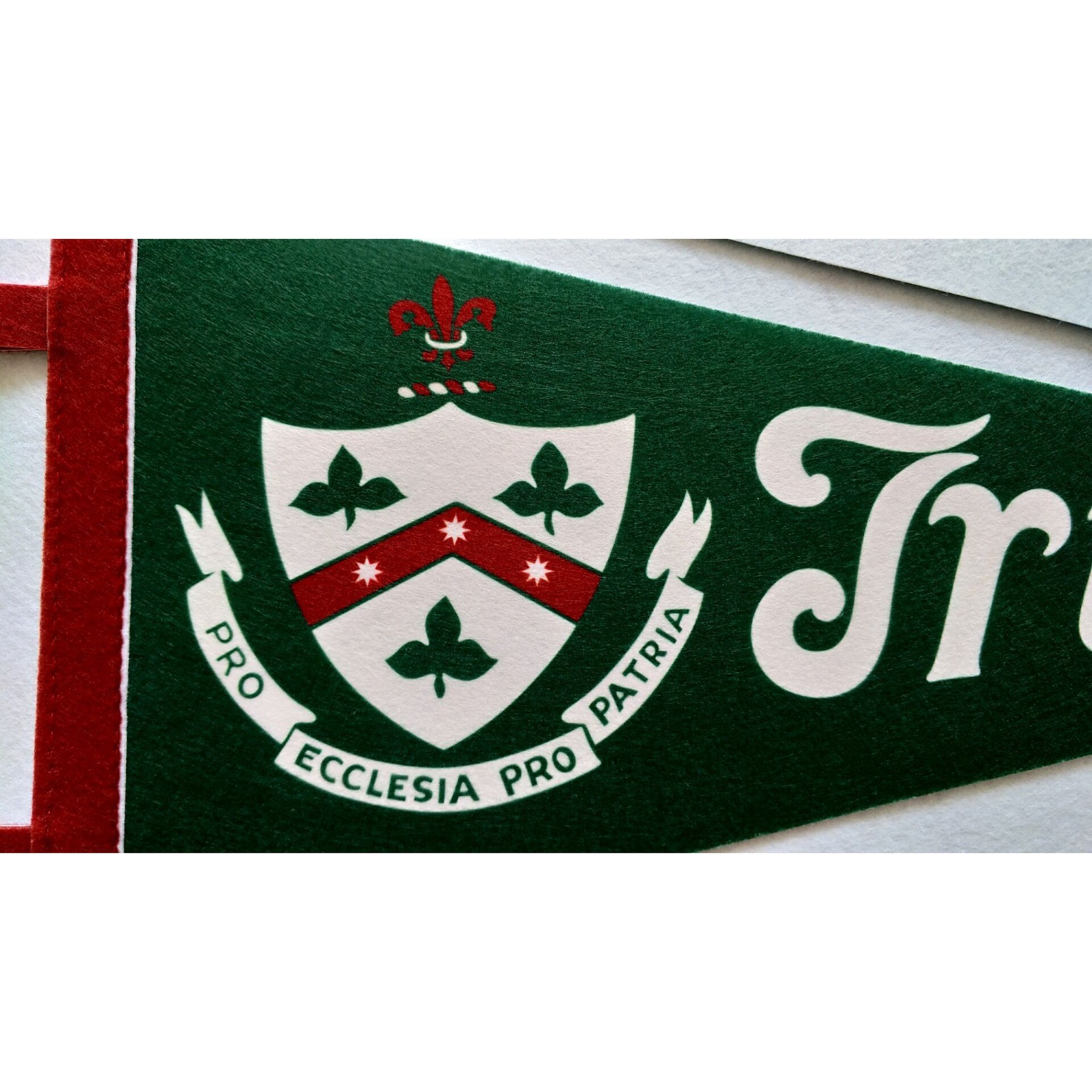Design Your Own Single-Sided Full Color Printed Felt Pennant 3