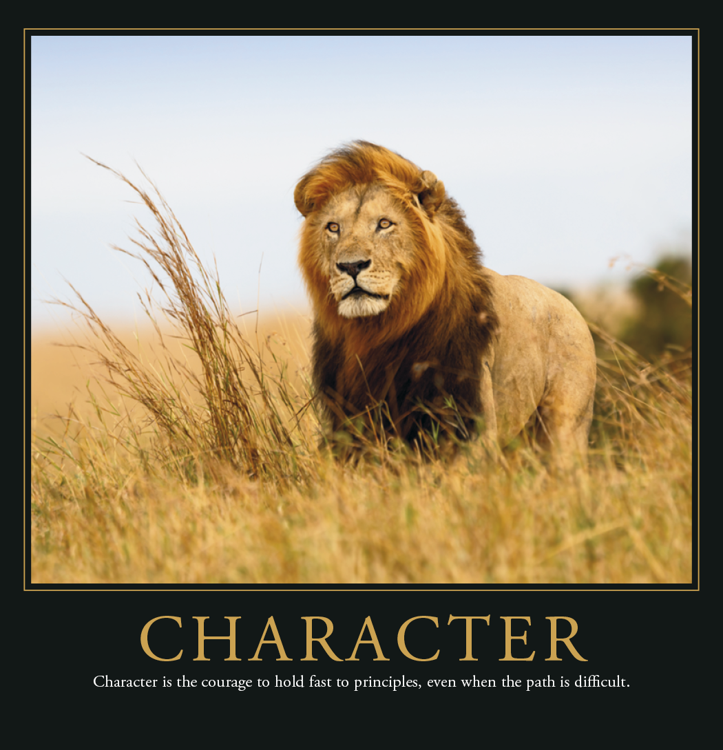 Triumph® Calendars Motivations Calendar 37