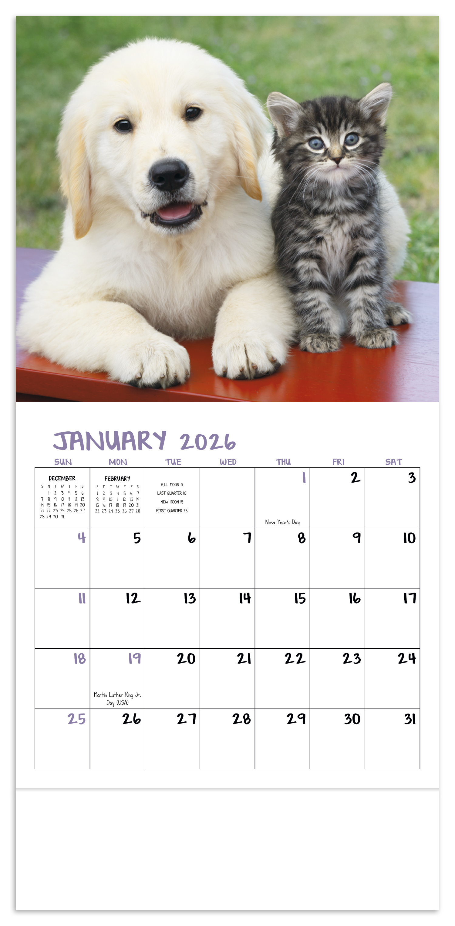 Good Value™ Puppies & Kittens - Mini Calendar 27