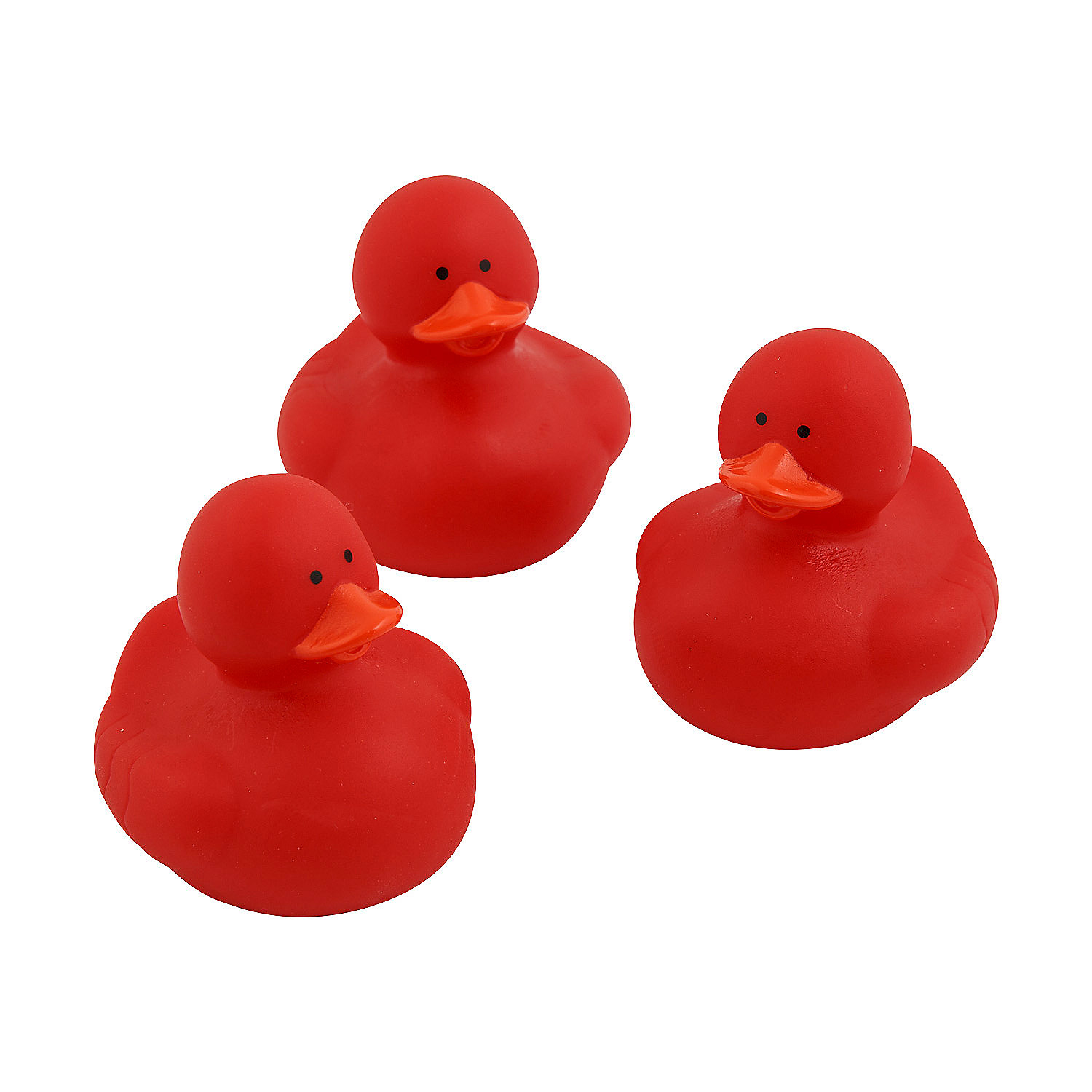 Colorful Duck 5