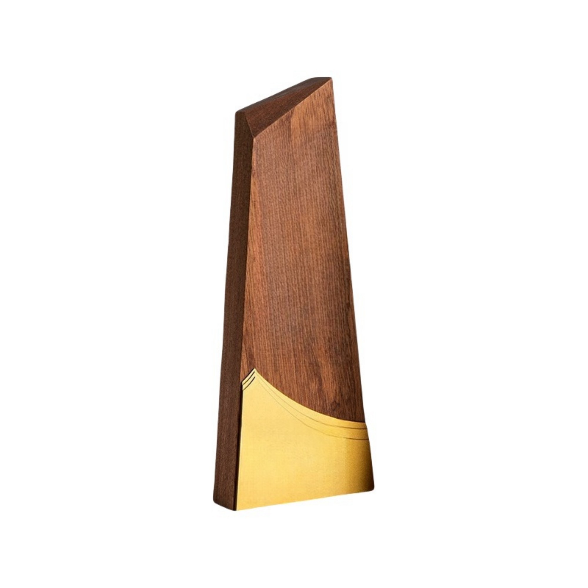 Creative Peak Wooden Award Trophy 2