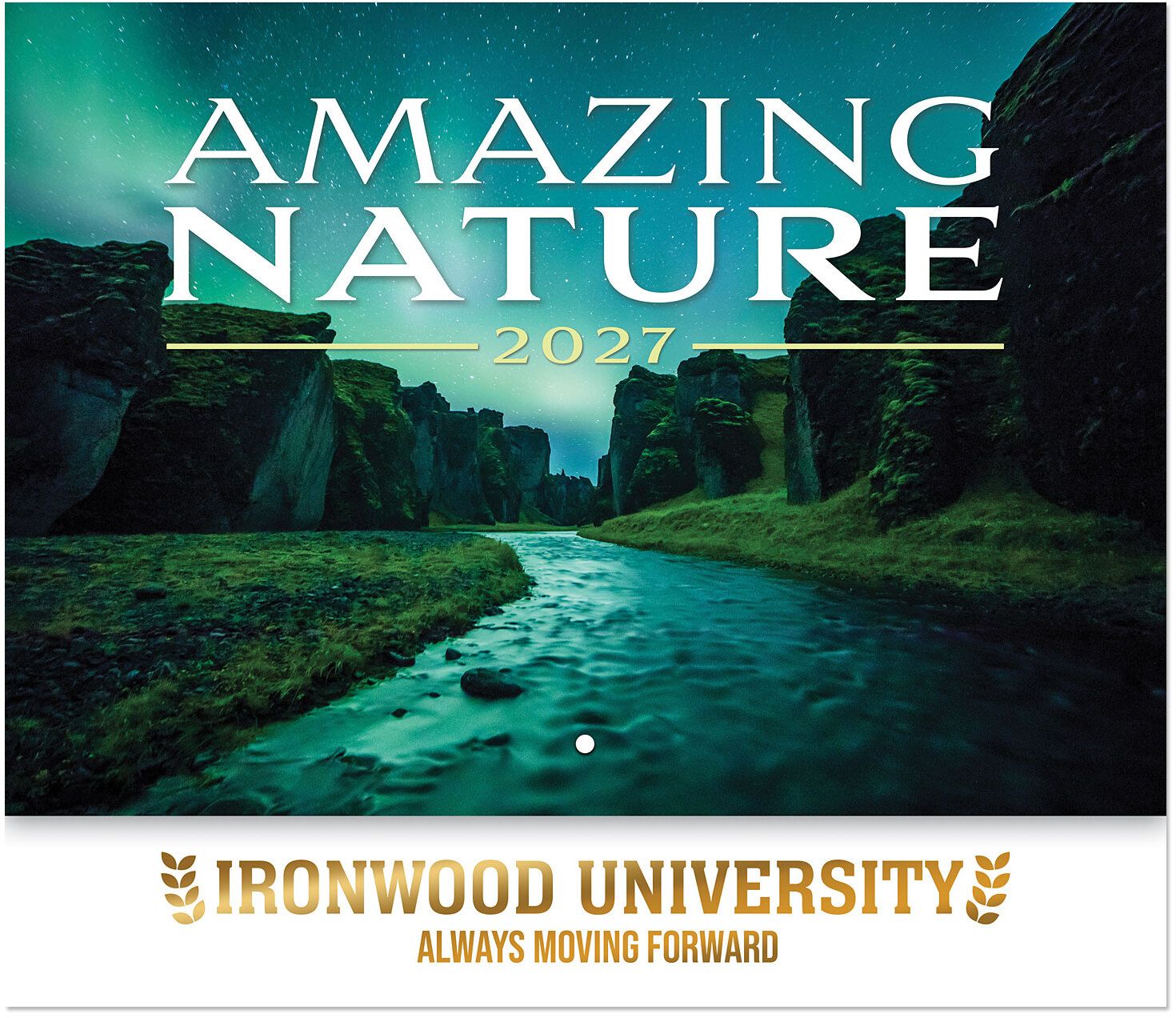 LUXE AMAZING NATURE STAPLED WALL CALENDAR 15