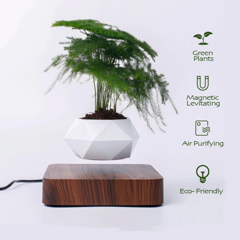Magnetic Levitating Floating flower planter 4