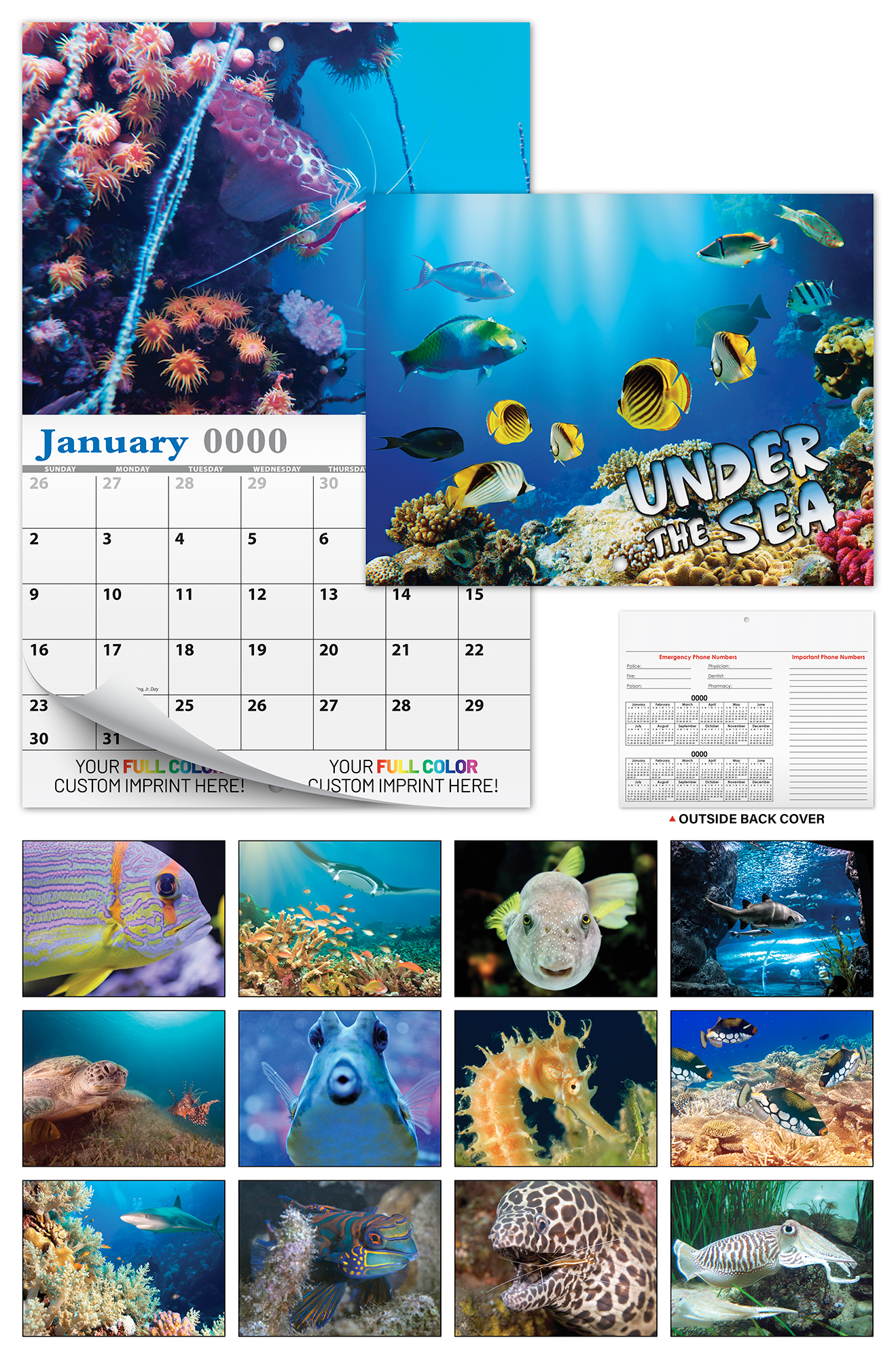 13 Month Custom Appointment Wall Calendar (High Gloss UV-Coated Cover)- UNDER THE SEA 2