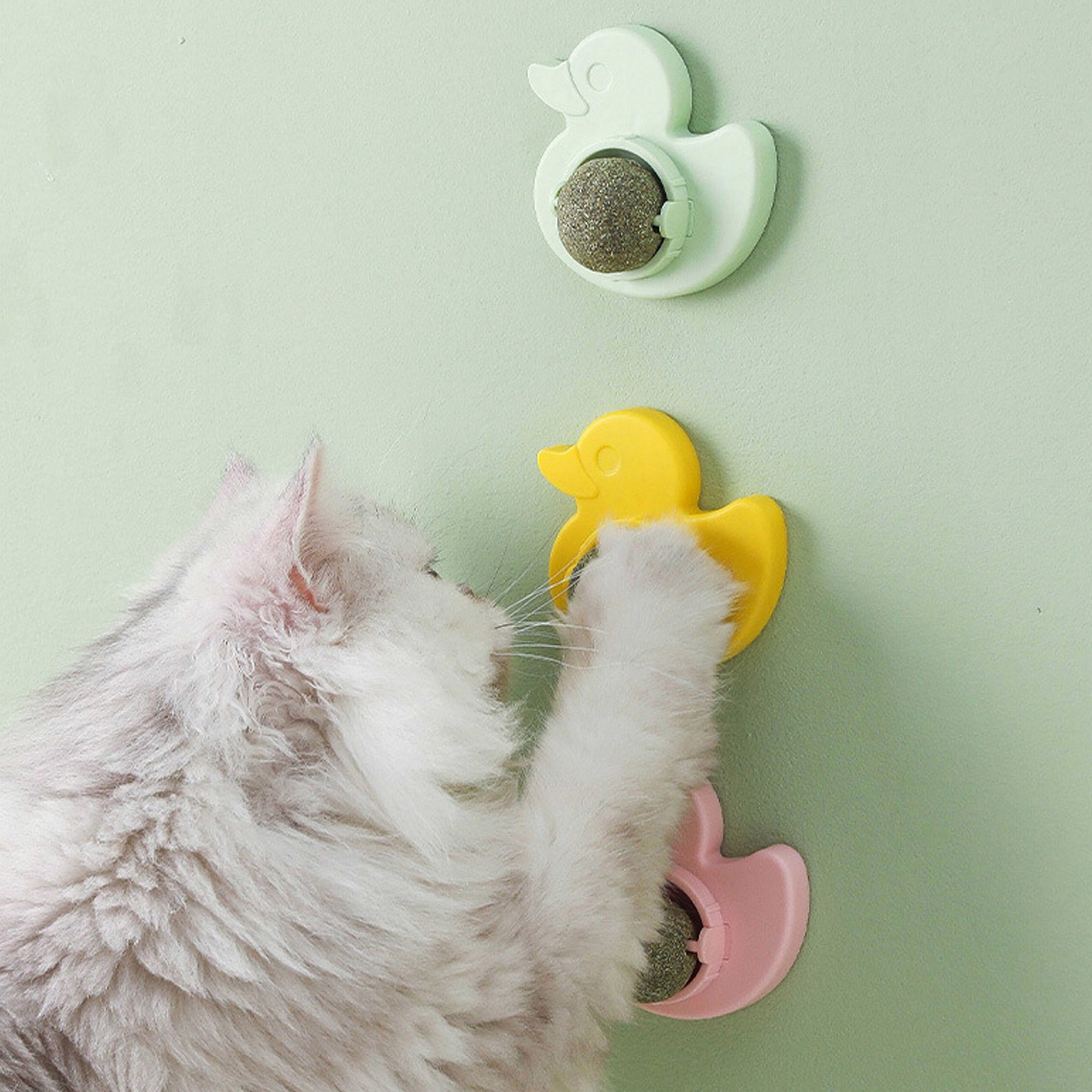 Cat Toy Catnip 4