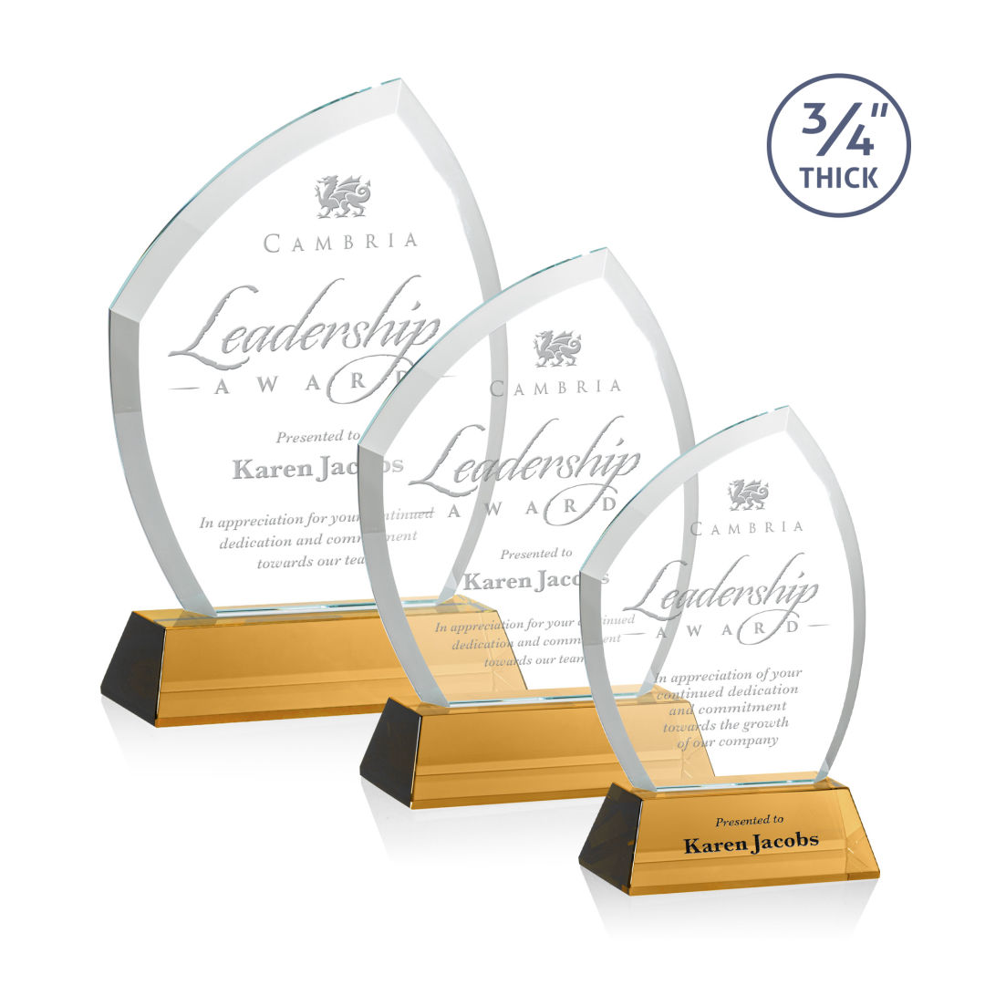 Daltry Award on Newhaven Base - Amber 6