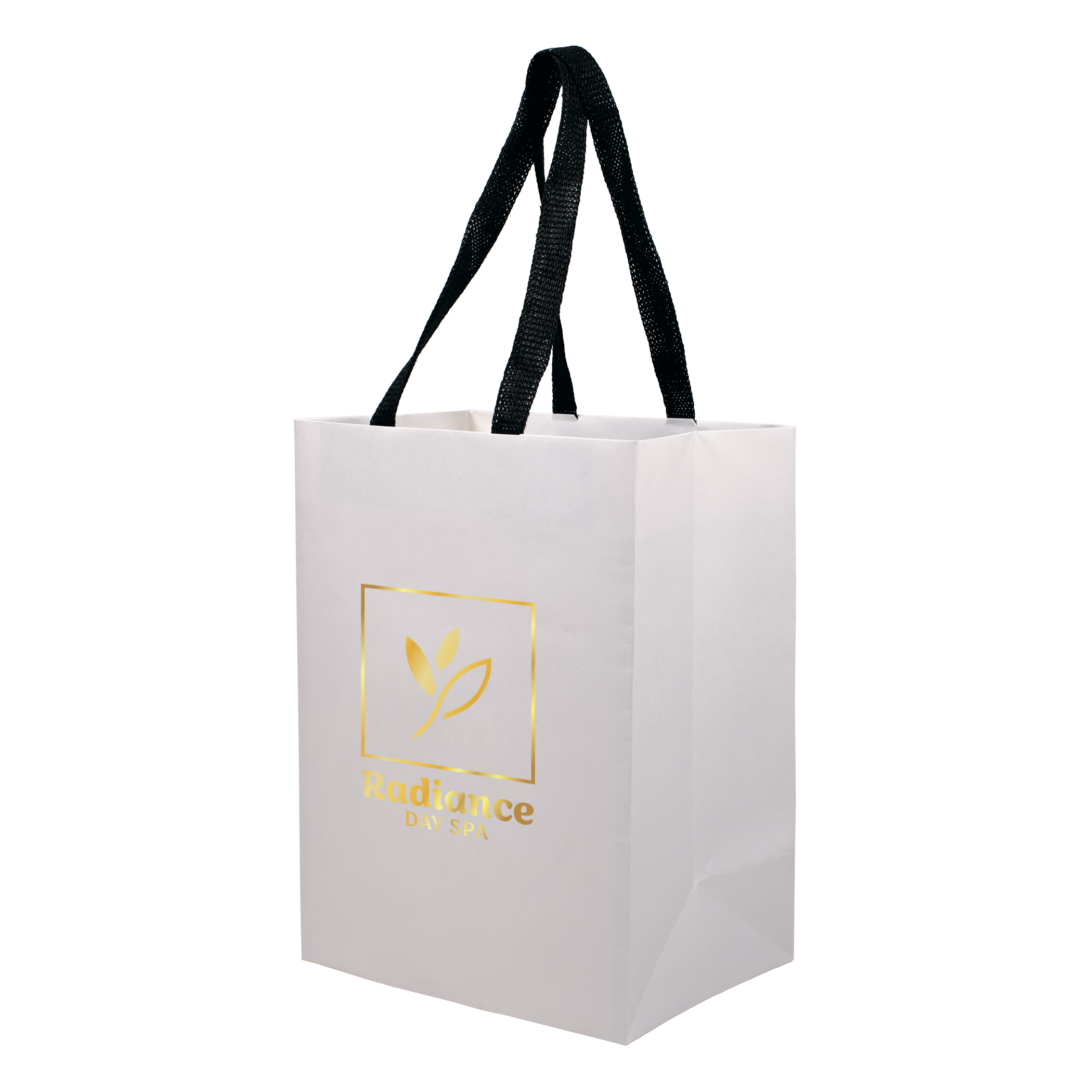 Sugarcane Paper Bag with Embedded Web Style Paper Handles - 9