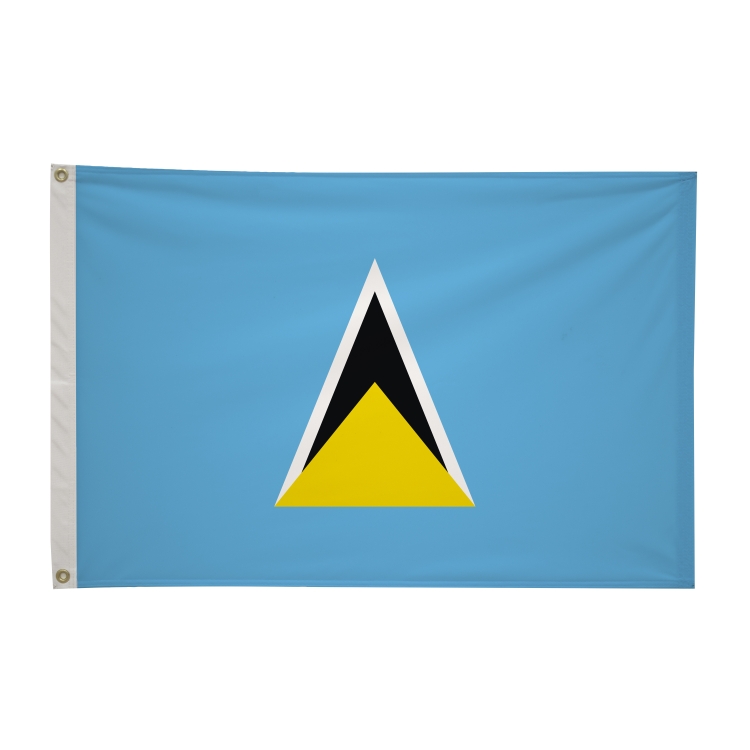 2' x 3'International Flag 304