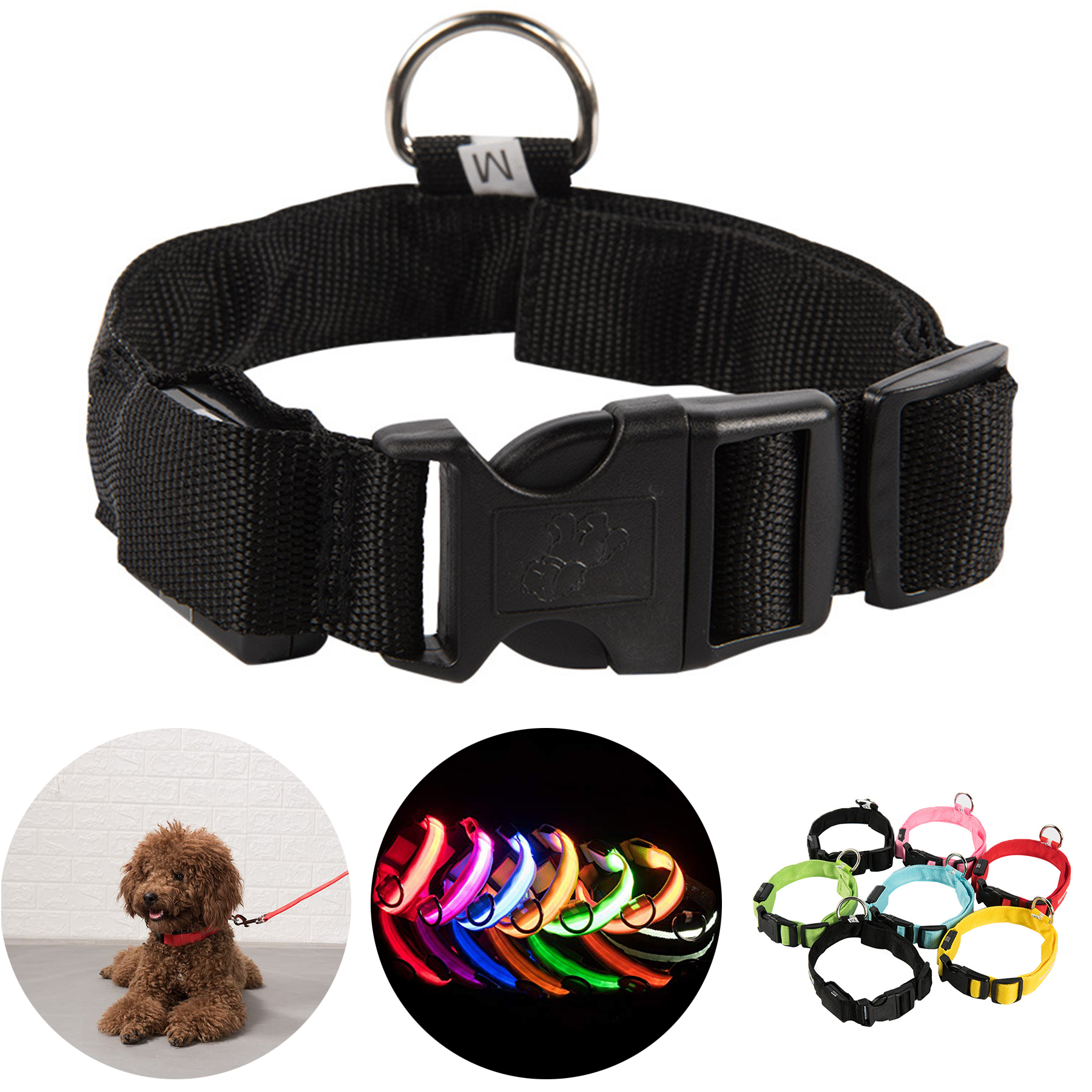 LED Dog Collar 1