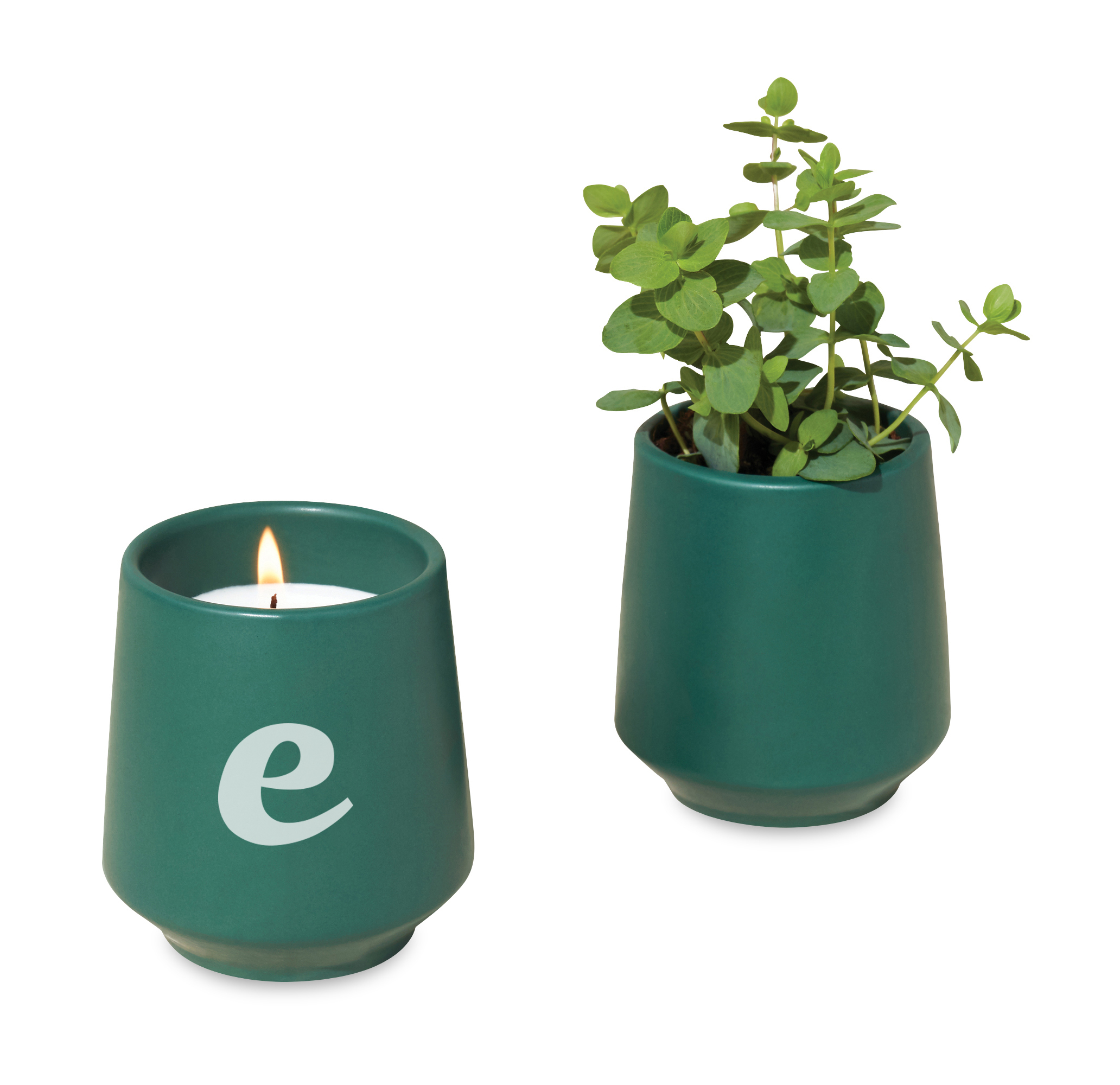 Modern Sprout® Rooted Candle 37
