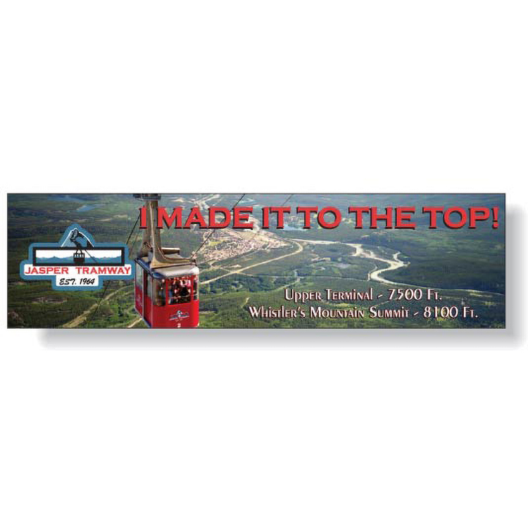 4 Colour Process Removable Matte Vinyl Bumper Decal (2.5"x9.25")