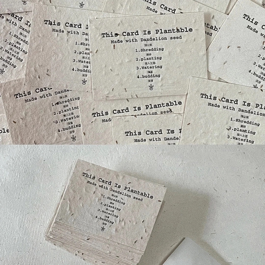 Seed Paper Name Card / Product Tag 5