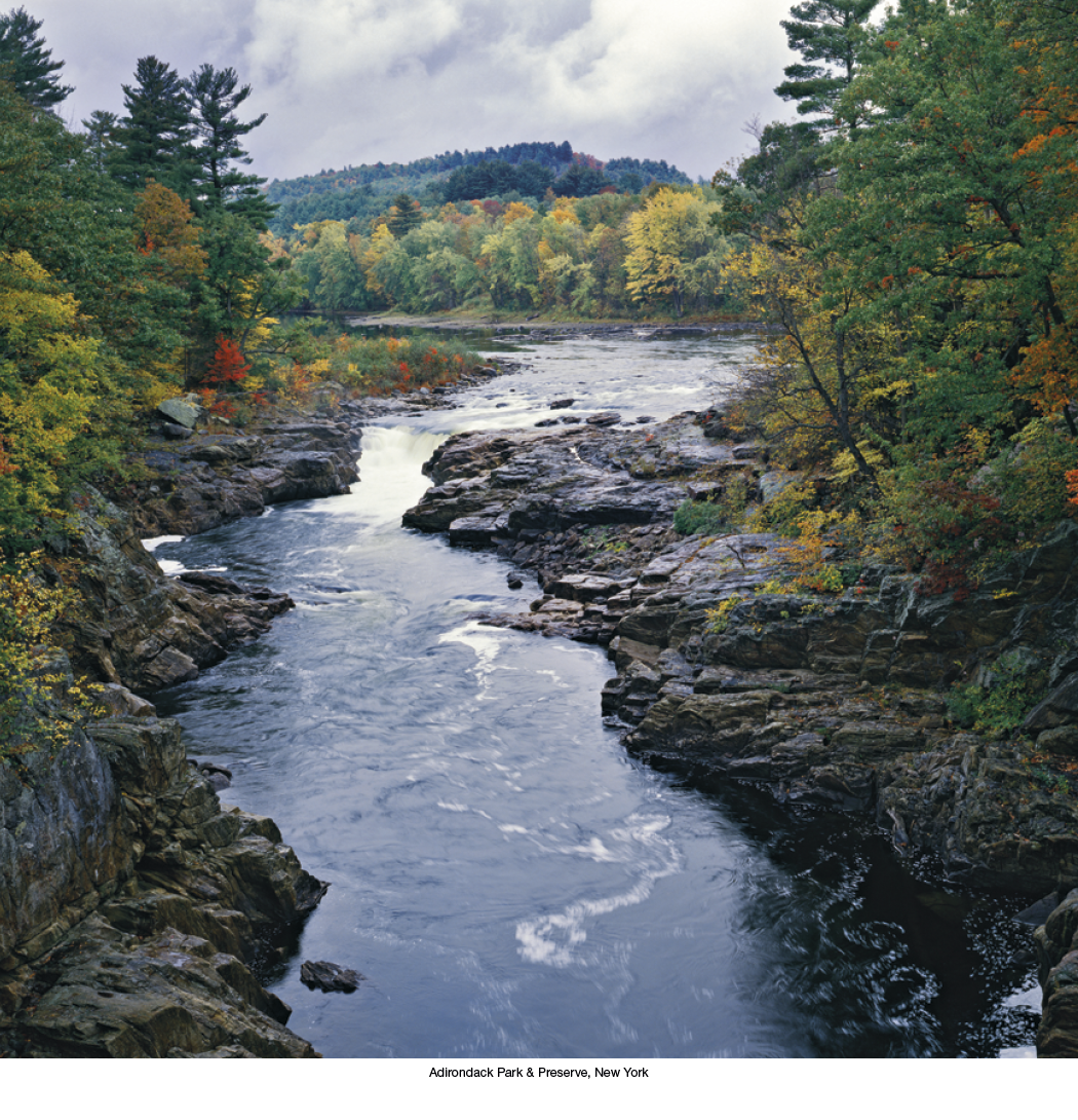 HotLine® Products Scenic America® Executive 26