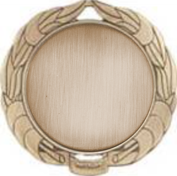 2 3/4" Bronze Wreath Medal w/2" Insert 13