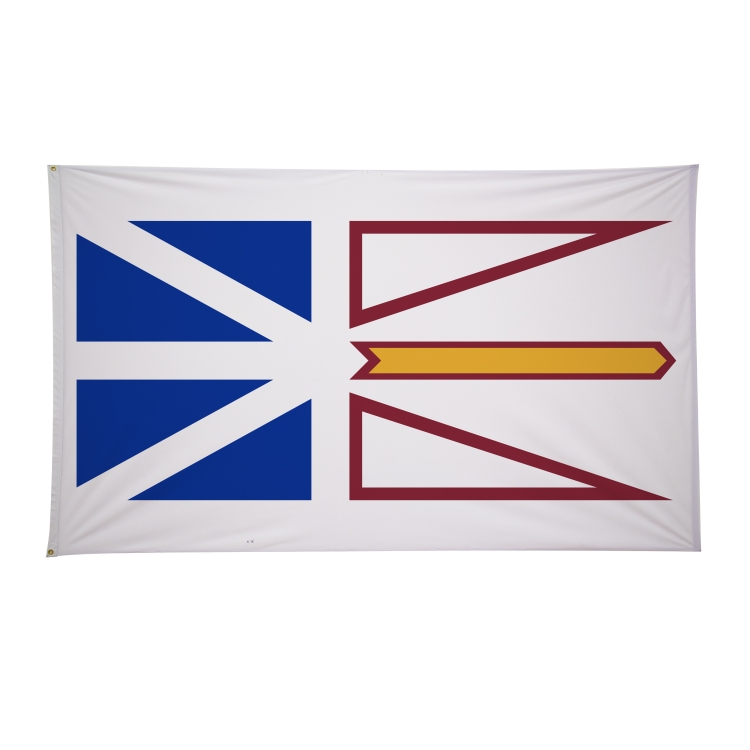 6' x 10' International Flags 202