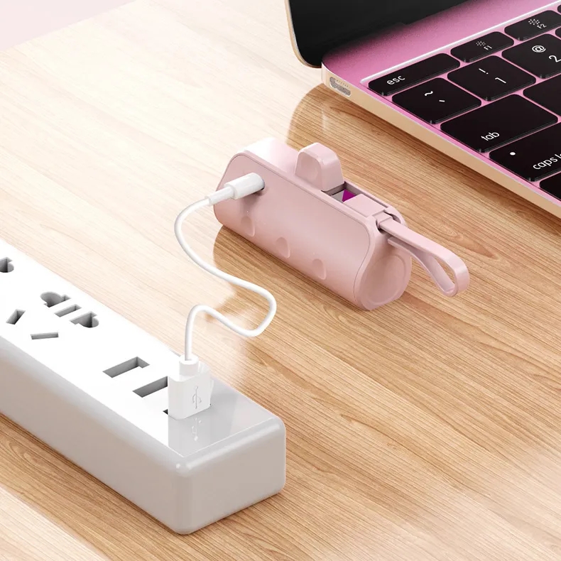 5000 mAh Power Bank with Multi Tips 2