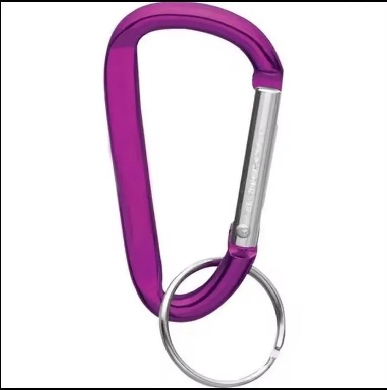 Carabiner keychain 7
