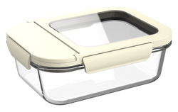 Glass Lunch Box 3